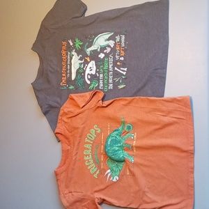 Boys Small 6/7 Dinosaur Shirts Bundle Lot of 2 Cat & Jack Kids #eshopchicago